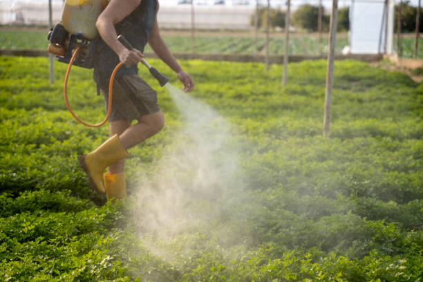 Best Residential Pest Control  in Boulder, CO