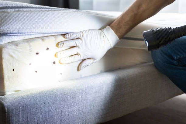 Best Pest Prevention Services  in Boulder, CO