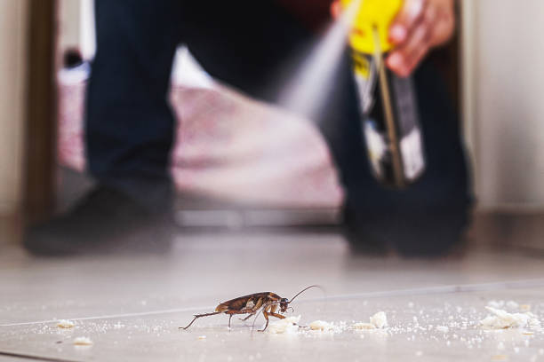Best Cockroach Control Services  in Boulder, CO